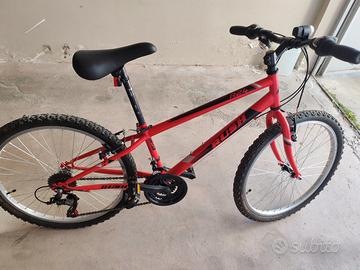 Mountain Bike Ragazzo Rush R24