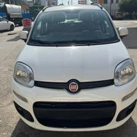 Panda targa polacca