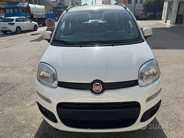Panda targa polacca