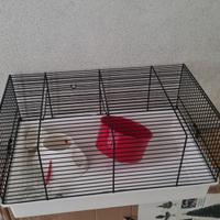 gabbia per criceti