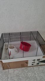 gabbia per criceti