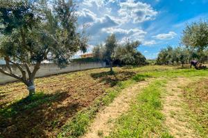 Terreno a Partinico, Contrada Carrozza