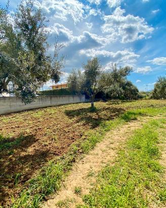 Terreno a Partinico, Contrada Carrozza