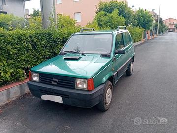 PANDA 141
