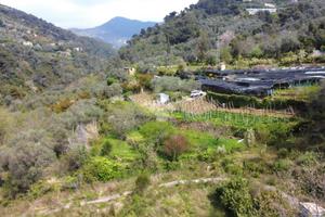 TER. AGRICOLO A VALLEBONA