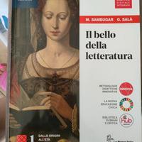 Il bello della letteratura