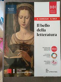 Il bello della letteratura