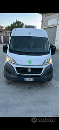 Fiat ducato 2.3 cella frigo