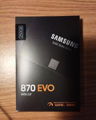 Hard disk SSD Samsung 870 EVO 250 GB SATA 2,5