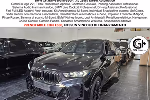 BMW X6 XDrive30d M-Sport PRO Tetto Apribile C22" 