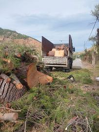 Legna da ardere prezzo basso