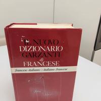 dizionario francese 