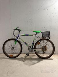 Bicicletta con cestino da 26 pollici