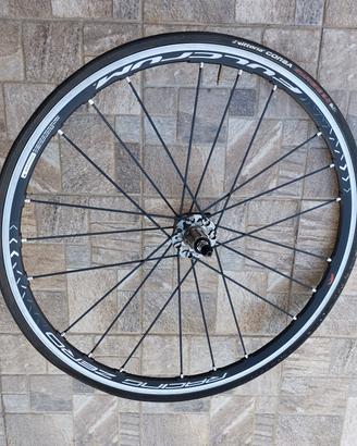 coppia ruote fulcrum zero 