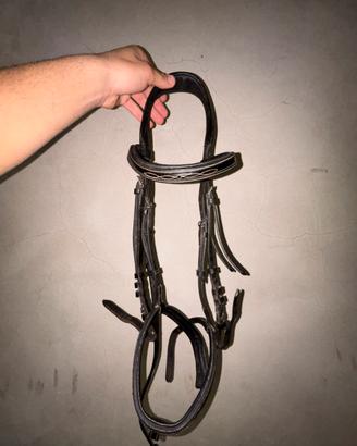 Testiera con varie imboccature