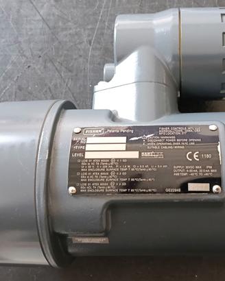 Trasmettitore di livello Fisher FIELDVUE DLC3010 -