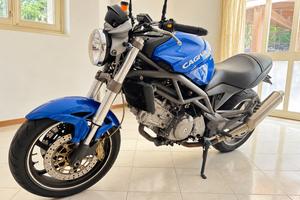 Cagiva Raptor 650 – Settembre 2001 – 23.679 km