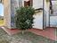 Immagine 22