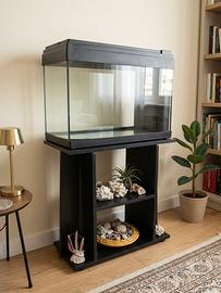 Acquario/ terrario 