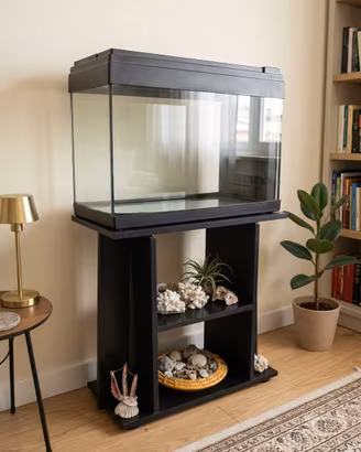 Acquario/ terrario 