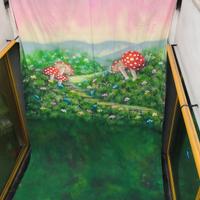 TELI SFONDO FOTO COTONE 