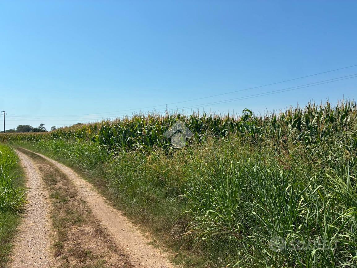 TER. AGRICOLO A ALBAIRATE - Altro