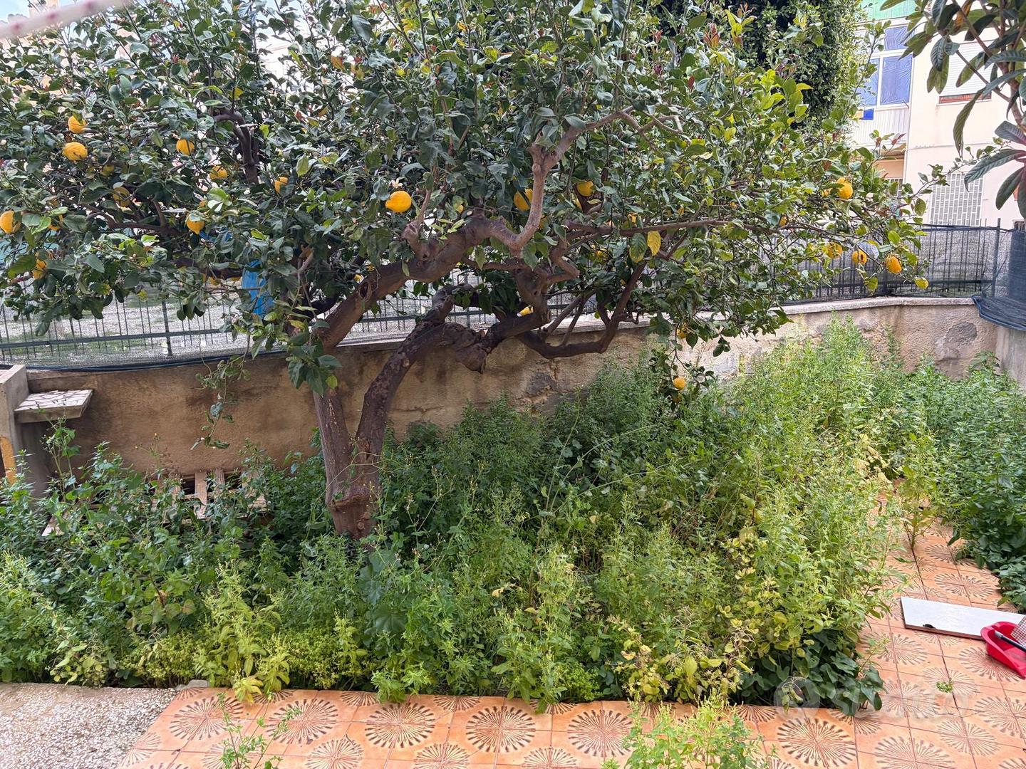 Appartamento – Erice, Raganzili, Casa Santa - Altro