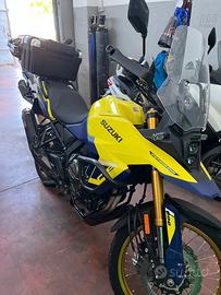 Suzuki VS 800 - 2023