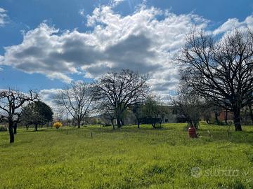 Terreno con progetto villa