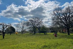 Terreno con progetto villa