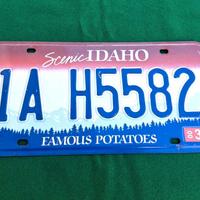 Targa vintage U.S.A. Stato dell' Idaho del 2003