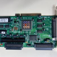 Scheda PCI tekram SCSI