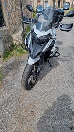 benelli trk 502 x 