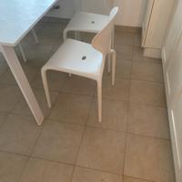 Sedie Moroso 2pz