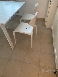 Sedie Moroso 2pz