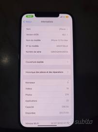 iphone 12 pro max 256GB