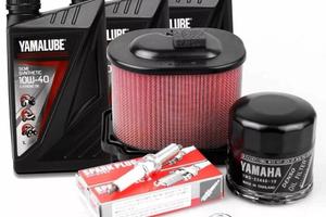 KIT TAGLIANDO TENERE 700
