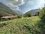 Immagine 7