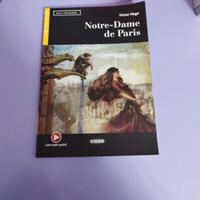 notre dame de Paris libro