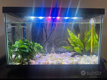 Acquario da 18 litri