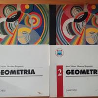 Geometria 1 e 2 Anna Trifone Massimo Bergamini