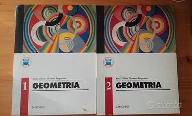 Geometria 1 e 2 Anna Trifone Massimo Bergamini