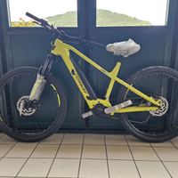 Mtb elettrica conway