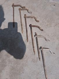fermastadia fermariga