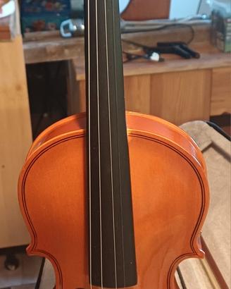 violino