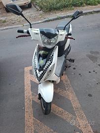 Altro Altro modello - 2020