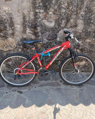bicicletta MTB ragazzo