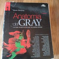 Anatomia del Gray 1