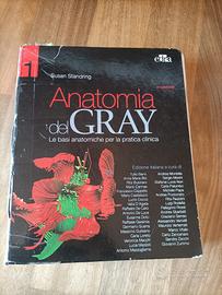 Anatomia del Gray 1