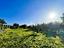 Immagine 24
